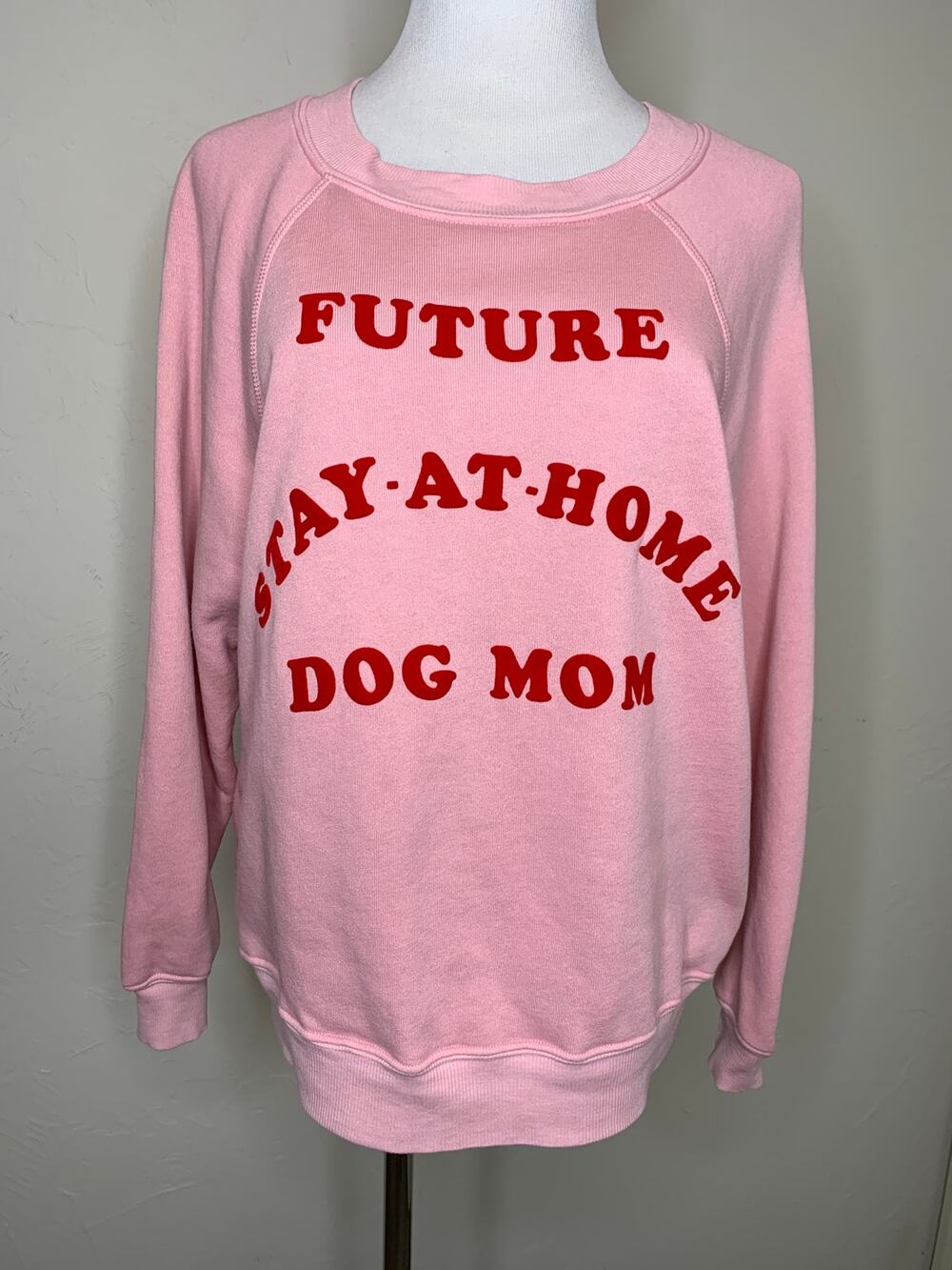 Wildfox Future Stay At Home Dog Mom Crew Neck Sweatshirt Boho Sz XS